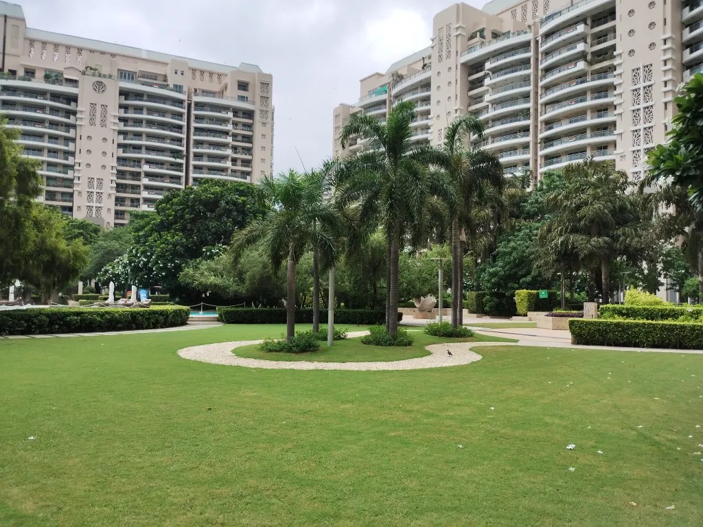 dlf-aralias-dlf-phase-5-gurgaon-1