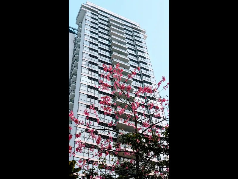 ireo-grand-arch-sector-58-gurgaon-2